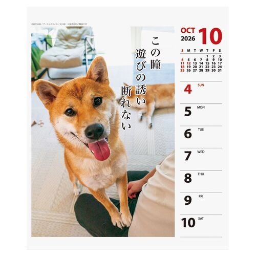https://minamoa-hiroshima.hands.net/item/4995027174239-5.jpg